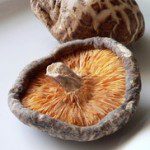shiitake2
