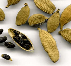 cardamomo2